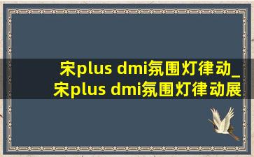 宋plus dmi氛围灯律动_宋plus dmi氛围灯律动展示